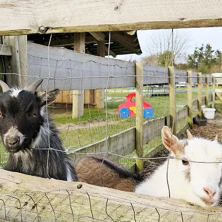 Holiday home Three-bedroom In Struer 1 Remmer Strand